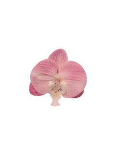Pink orchid hair clip and safety pin brooch, coquette accessory by Angel Ruche